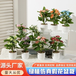 Spot Amazon Green Plant Artificial Potted Two-Pronged Banyan Tree Flower Artificial Flower Bonsai Mini Fake Flower Small Bonsai