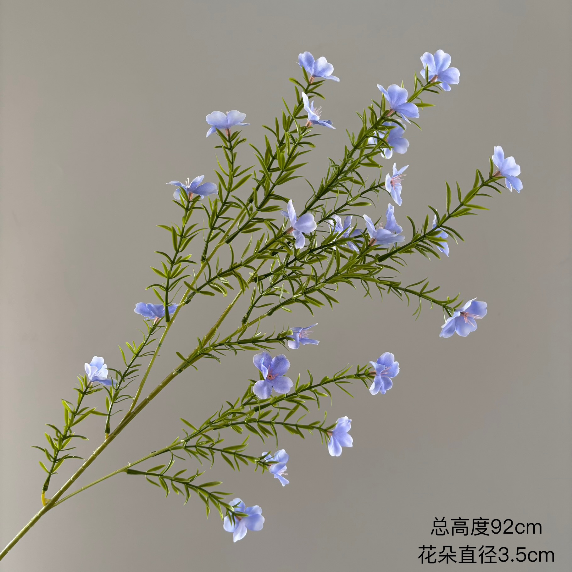 작은 야생화