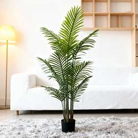 跨境仿真绿植盆栽花卉假绿植仿真葵树散尾葵芭蕉树仿生散尾葵