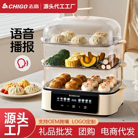 养生壶;煮蛋器;电热水壶