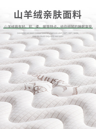 BB4C wholesale Hannes two-in-one folding sofa with pull-out mattress, 80*200cm, Feisduo coconut fiber