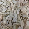 FD apple slices 20g/pack