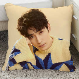 朱一龙周边抱枕亲爱的自己陈一鸣偶像公仔居老师小笼包海报玩偶