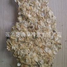 ơ�ƻ�,�e��,����,�����黨,Ұ�ƻ�,