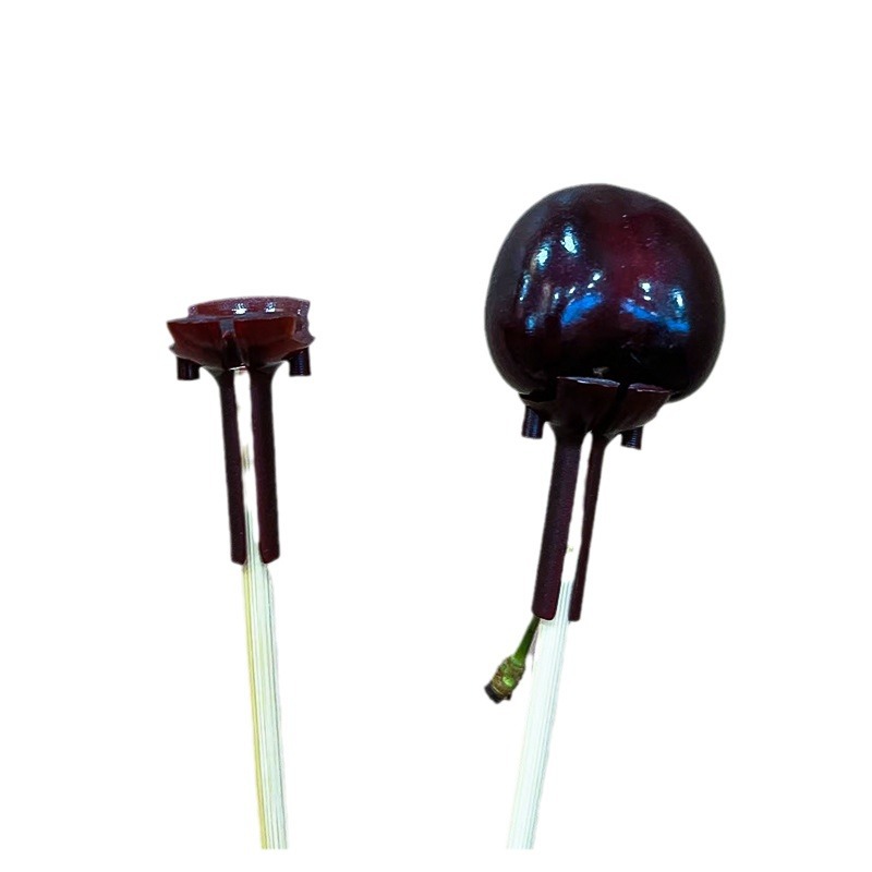 Soporte fijo para cerezas, paquete de materiales para ramo de frutas, ramo de floristería, brocheta de bambú semiterminada, materiales para flores de regalo al por mayor