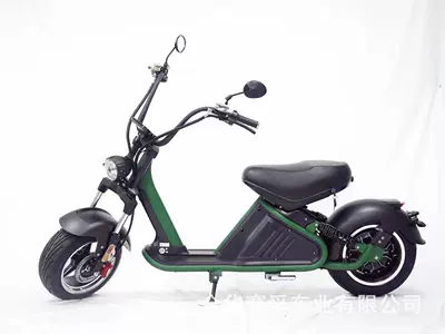 Elektrikli motosikletlər motorcycle Adult Electric