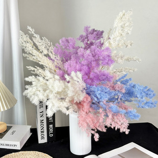 ̦�� ���������R�ɷ��滨�ɻ��W�t�r����diy�b�ˇ���b�����Y��