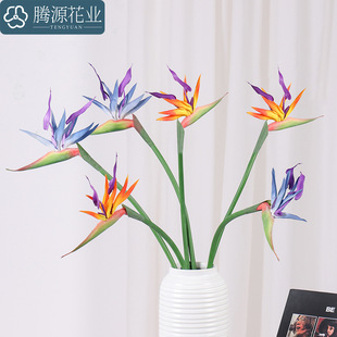 ����ʽ�Ӱ�Ҿ�ܛ�z�����B ��Ʒ�|���滨��Y�zӰ�Q���m ���z�ٻ�