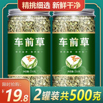 车前草500g中药材干货车钱草否袋泡茶新鲜另售车前子金线草中草药