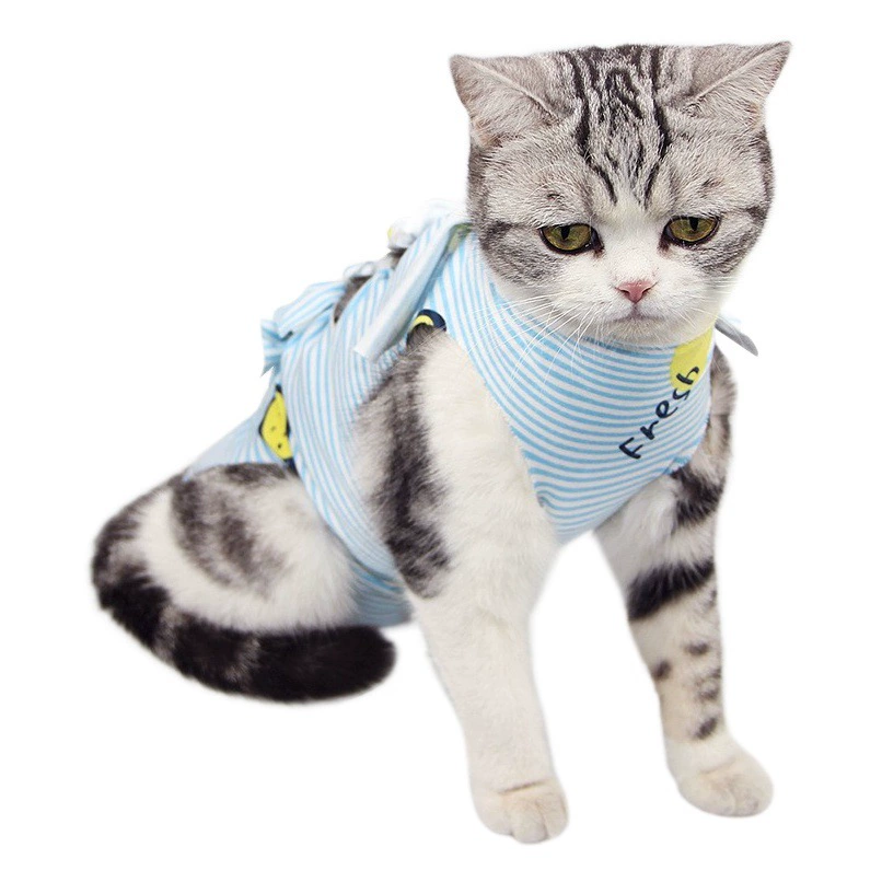 Одежда для домашних животных Одежда для кошек послеоперационная стерилизация одежда отлучение от груди защита от вылизывания бактерии дышащая удобная собака, чем физиологические штаны медведя