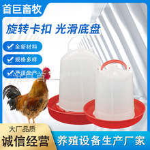 家禽水桶厂家供应 鸡鸭水桶鸡鸭鹅饮水设备 鸡鸭水桶小鸡饮水器厂