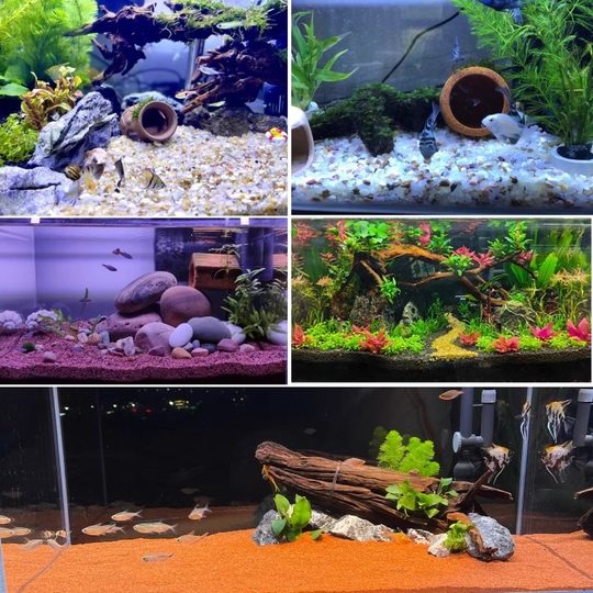 Natural Crystal Sand Fish Tank Native Base Sand Landscape Decoration Stone Aquarium Water Grass Sand Tortoise Iron Gallbladder Sand
