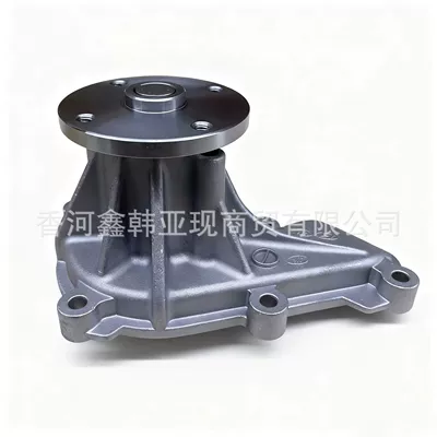 Water pump 251002E000 Suitable for