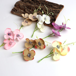 滨㶹ٻ ֹҾӚbñ DIY֦÷