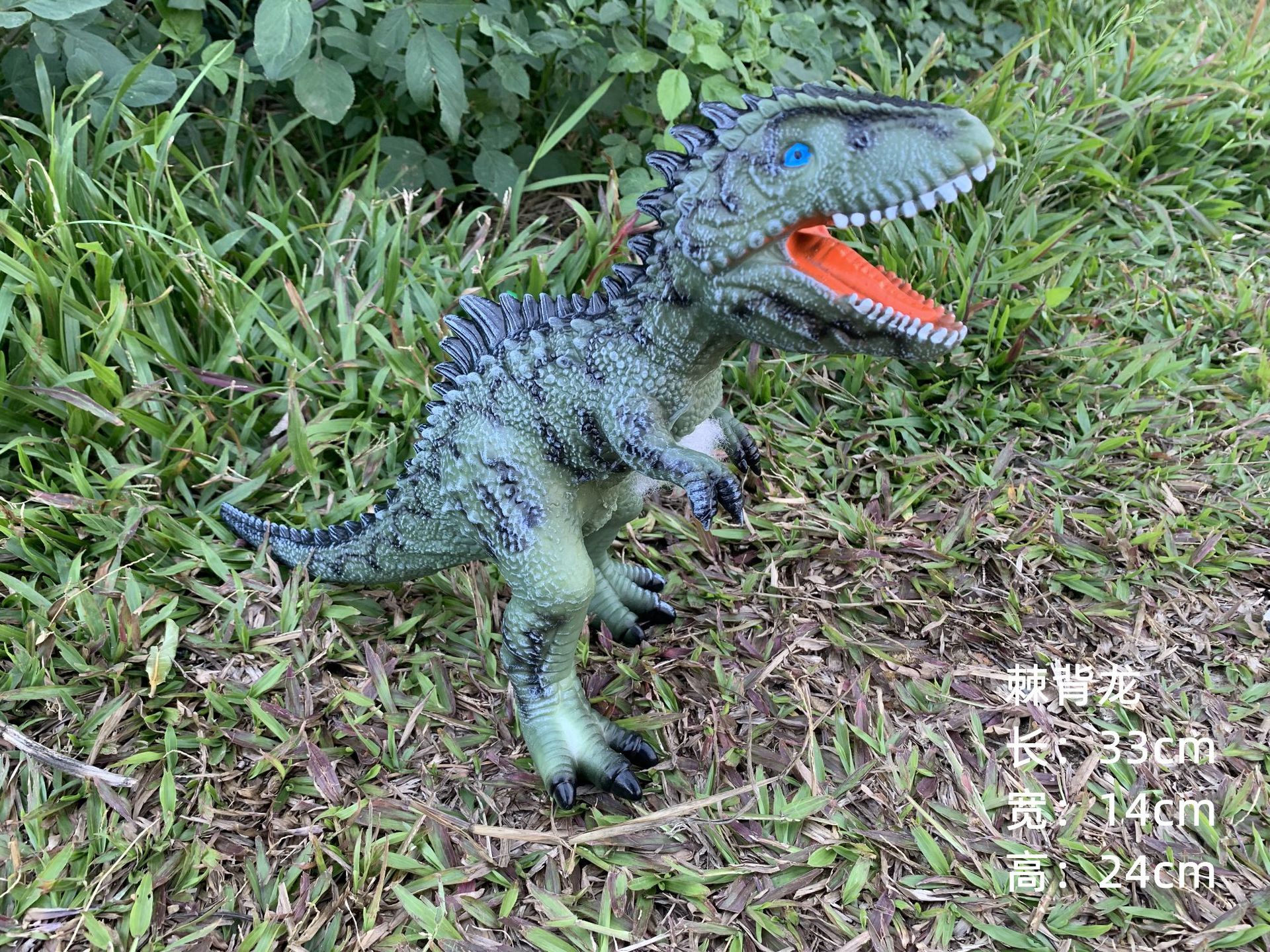 The new back dragon