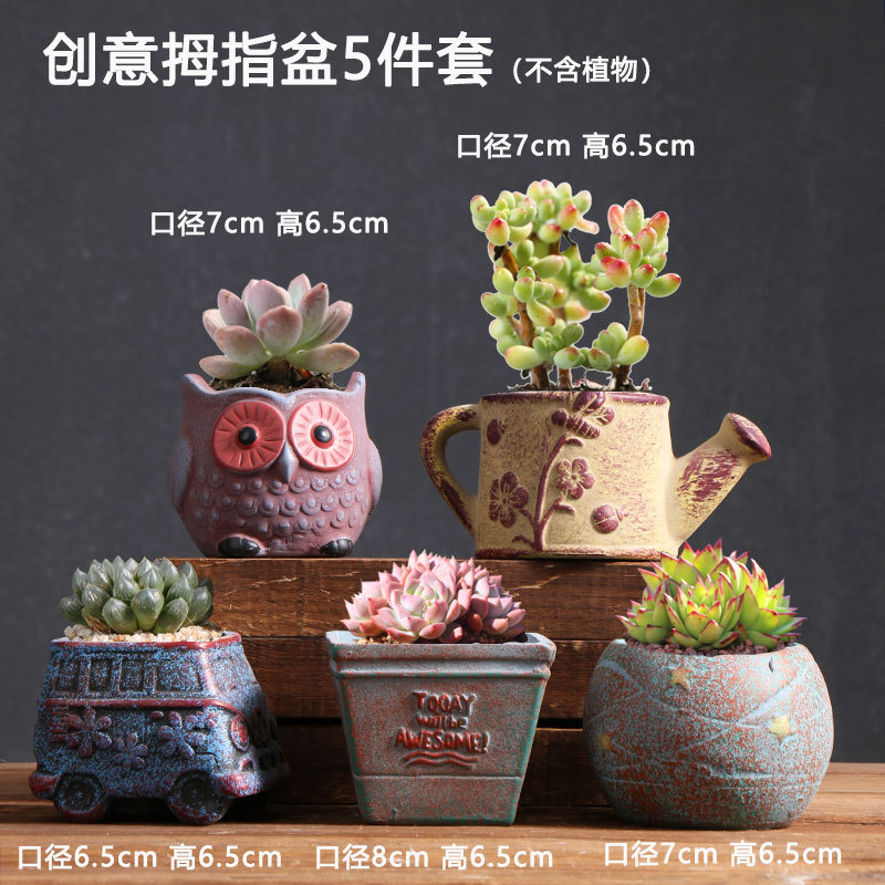 创意拇指盆5件套040