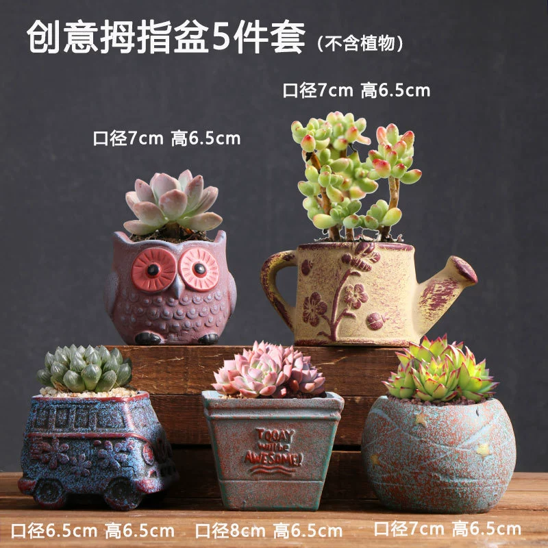 Creative Ceramic Flower Pot, Handmade Factory Direct, Assorted Decorative Designs, Small 7–10 cm