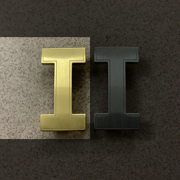 Type C 2.5cm wide-gold buckle