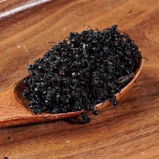 ��ΛρΛρ�ɔM�ڶ��ρ�ݾ����L��ɽ��ɽρΛρ�ۼtΛρ��ΛρҰ