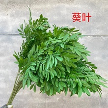 Gֲ~bľGֲG~@̈b쾰۲廨[