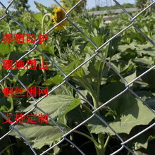 ����\�����WȦ�����ξ����F�z���ھW����@���@䓽z�Wú�V֧�o�W