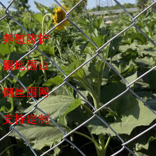 Hot-Dip Galvanized Wire Mesh Fence, Subway Wire Mesh, Zoo Orchard Fence, Diamond Woven Isolation Protection Net
