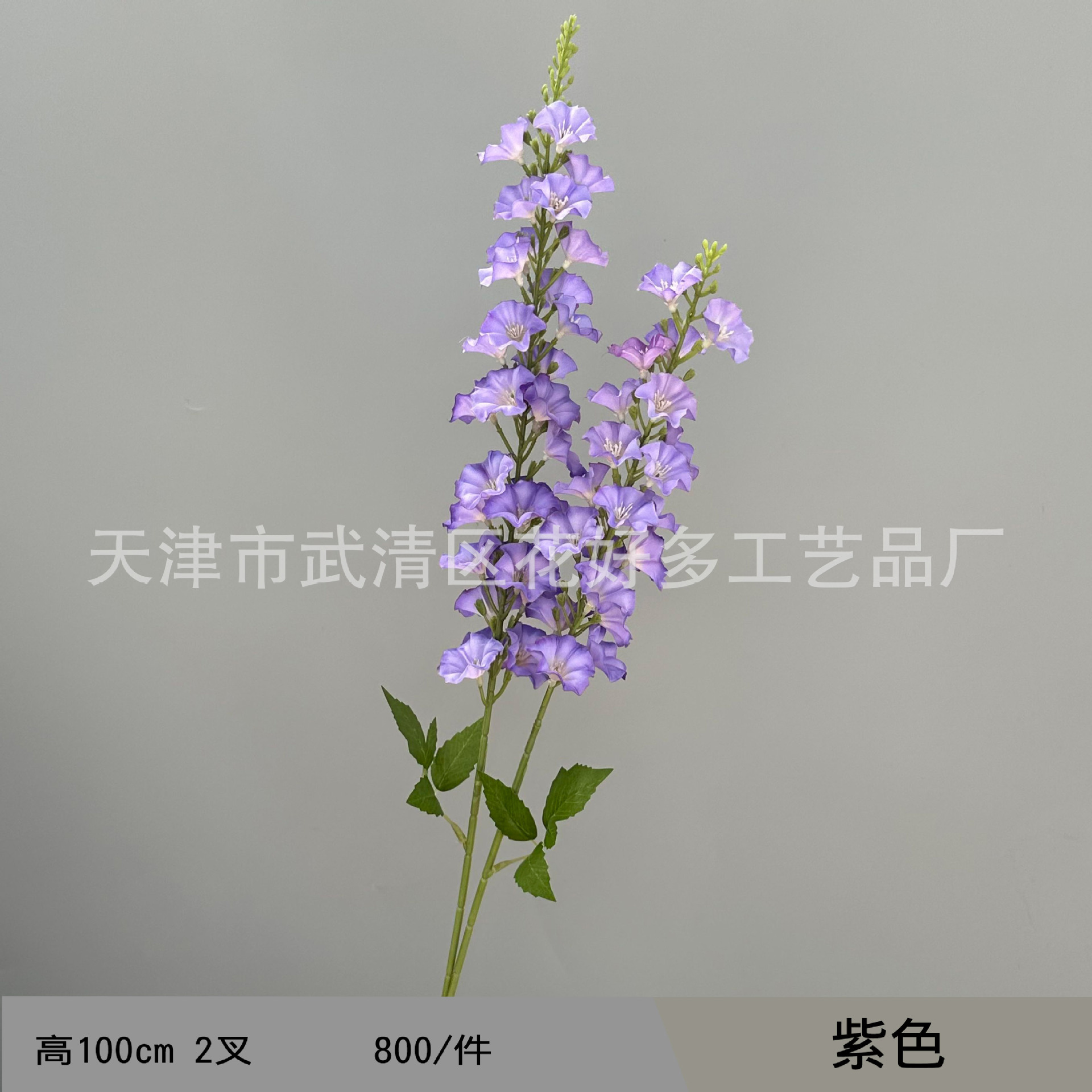 보라