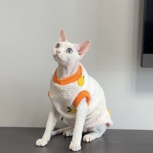 Teddy velvet embroidered two-legged hairless cat clothes Devins Fax short-legged cat clothes pet clothing new style
