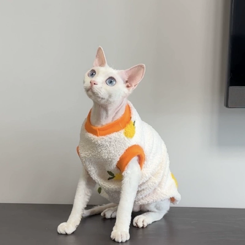 Тедди бархатная вышитая двуногая бесшерстная кошка одежда Девенса Короткая кошачья одежда для домашних животных новый стиль