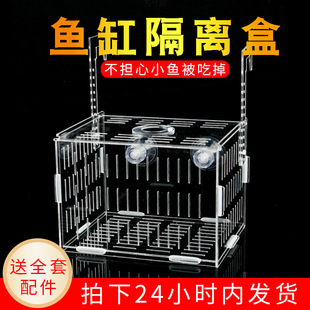 Fish Tank Isolation Box Transparent Acrylic Hatching Box Fish Breeding Box Mini Parrot Small Fish Breeding Box Wholesale