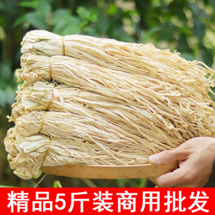 5���}���ɺ����خa�L�}���r�������}���l�Օ��L�ɸ��}��ɢ�b��؛