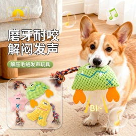 猫猫玩具;狗狗玩具;狗狗食具