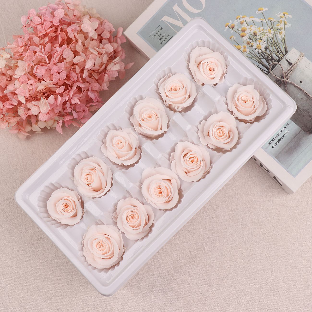 Cabezas de Rosa Eternas A+, 3-4 cm, 12 Piezas, Materiales para Manualidades Florales, Caja de Regalo, Fabricante, Venta al por Mayor