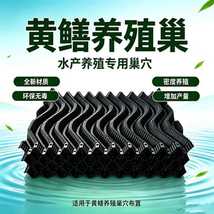 �X���B�S�X���˹��Bֳ��ˮ��Λ������߰����q�X�~���q��ֳ��Ѩ�C
