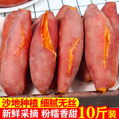 沙地板栗紅薯新鮮紅蜜薯蔬菜2/5/10斤番薯地瓜批發價