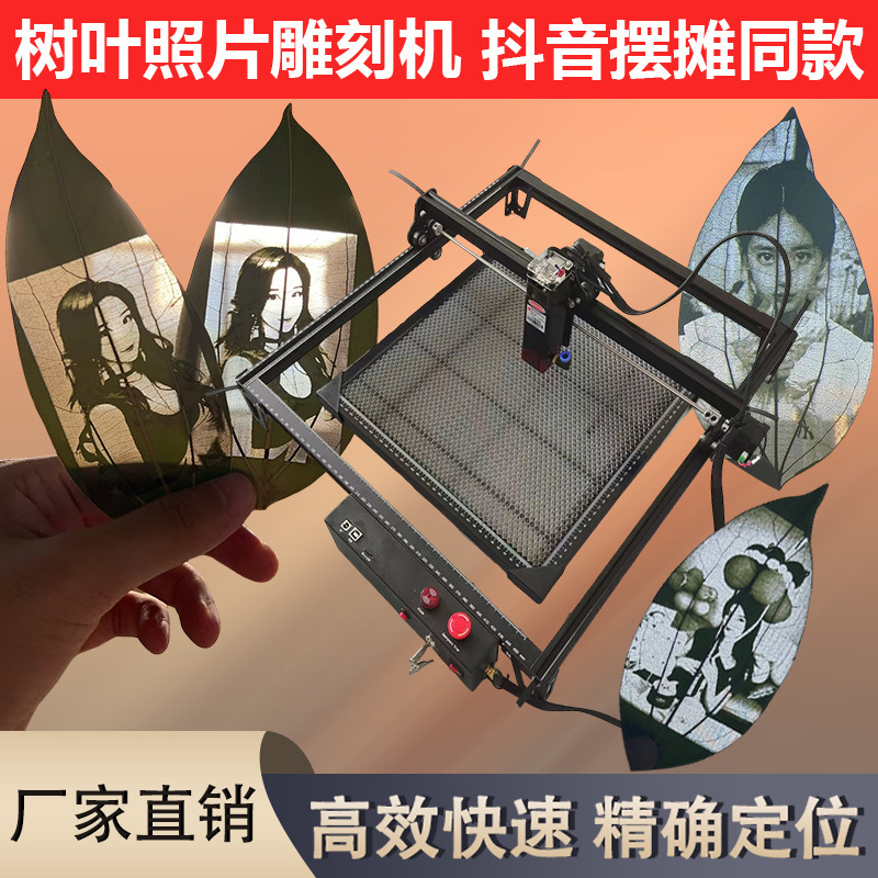 树叶照片diy激光雕刻机金属木板不锈钢皮革可雕刻户外摆摊便捷