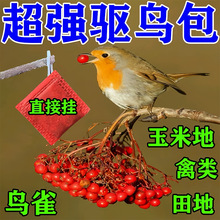 �������Ғ���B����B���w���ͺ��㾫�����@�r��Ç��B�s�B�o�r