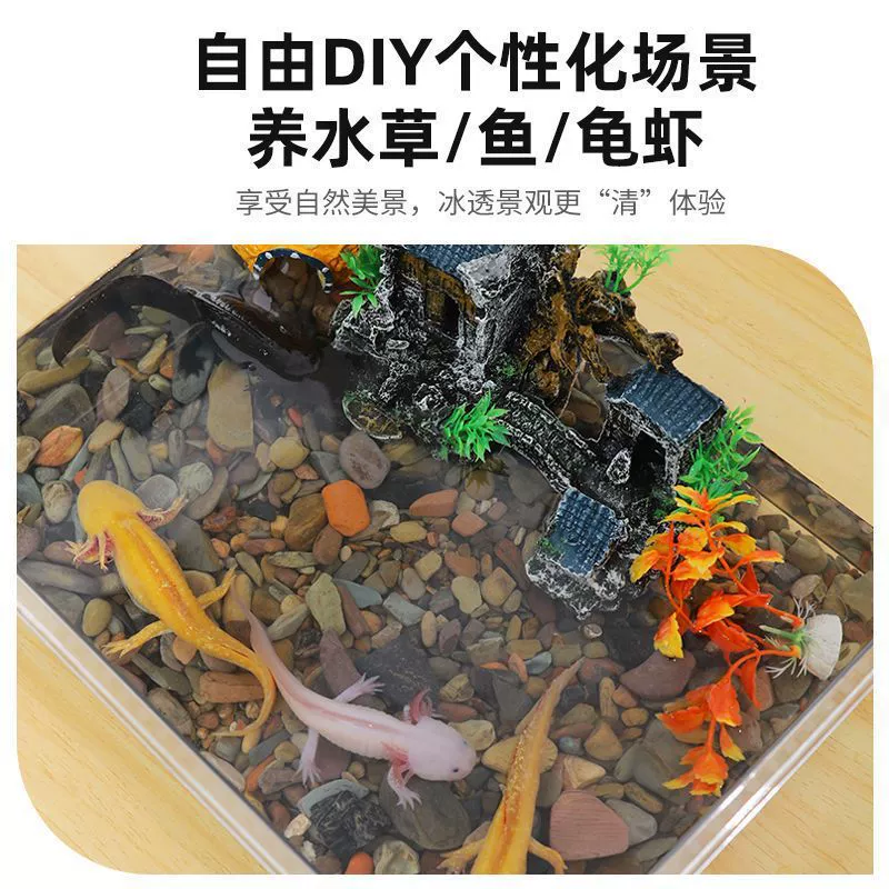 Шестиугольный аквариум для динозавров аквариум гостиная аквариум экологический маленький аквариум с черепахами