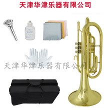【圆号】华津乐器降B调行进圆号 初学者成人乐队演奏级圆号