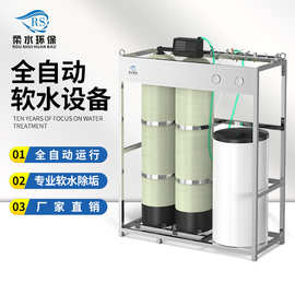 全自动软水器软化水过滤器软水机钠离子设备工业锅炉一体化装置