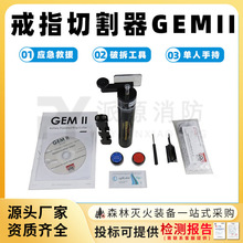 ָиGEMII늄ָhиCwRٷָԮг