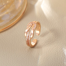 �p�ݚ��|�r�аٴ�h�h��۽����R��۽�ָС���OӋins�L����ָ�h