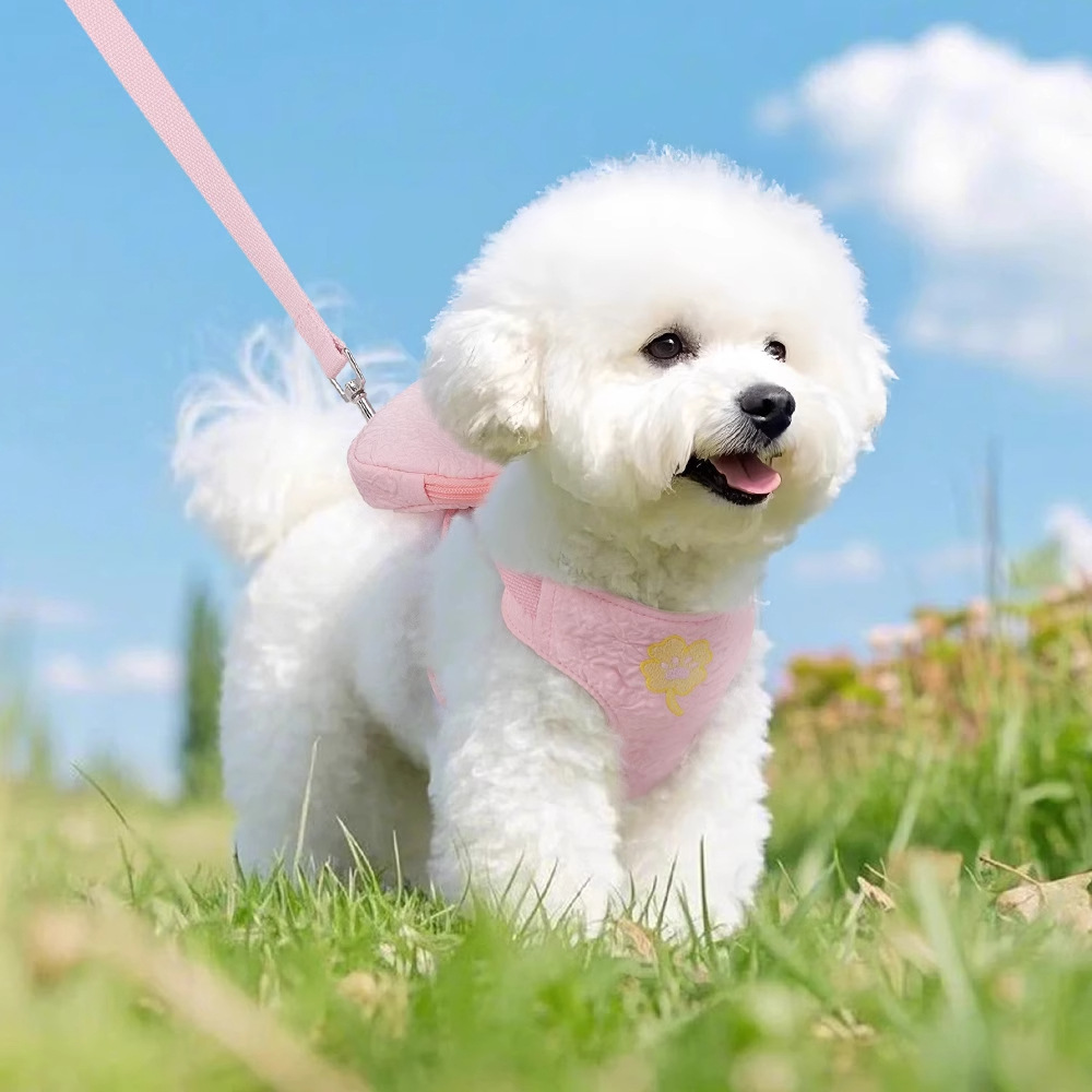 Cuerda de tracción para perros para mascotas, bolsa bordada con dopamina, correa para el pecho, peluche, bichón, perro pequeño, cuerda para pasear, suministros de viaje