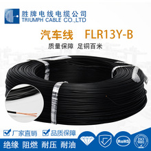 FLR13Y-B�ˆ�о��܇�� �^����ȼ �͉����� ���~���� Ʒ�|����