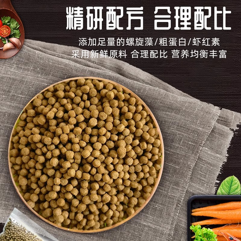 Nutritious Turtle Food Stone Money Turtle Food Snapping Turtle Food Brazilian Turtle Food Turtle Food Water and Land Baby Turtles Fish Shrimp Dried Turtles