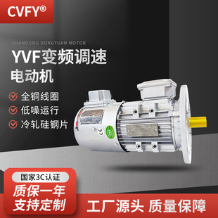 YVP/YVF3-90S/L-6�O׃�l�{��늙C 0.75KW/1.1ǧ�����ஐ��늄әC