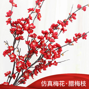 �S�����l����÷���D÷�t÷���ѻ���÷�������ٻ��һ����滨