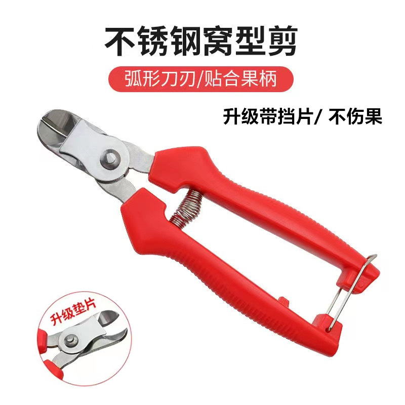 不锈钢窝型摘果剪苹果梨子专用剪番茄橘子采摘剪塑柄窝型果把剪刀