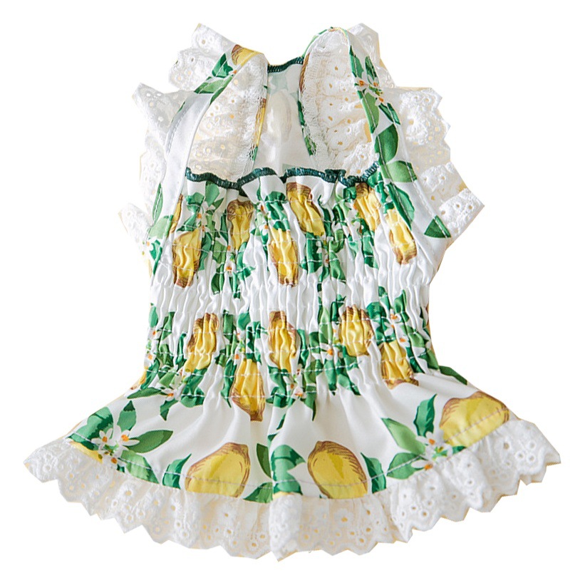 2023 nuevo verano encaje perro Liga falda gato chaleco mediano y pequeño perros primavera y verano fresco vestido para mascotas