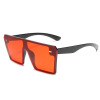 Sunglasses suitable for men and women, overall, glasses, suitable for import, European style